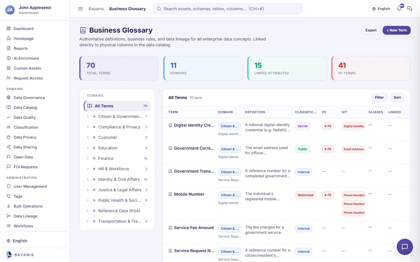 Business glossary listing terms by domain with classification, PII and sensitive information type